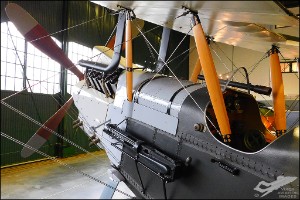 DSCN8493a